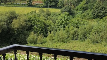 Vue sur les montagnes