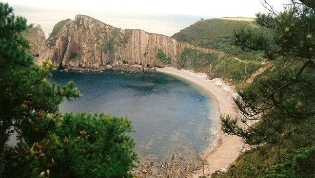 Eine Küstenlandschaft mit Strand, Klippen und umliegender Vegetation.