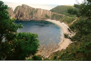 Un paysage côtier comprenant une plage, des falaises et une végétation luxuriante environnante.