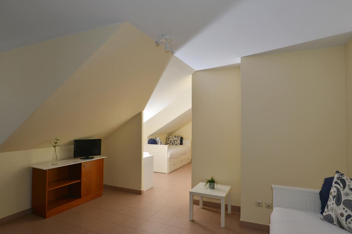A small, well-lit room with a sloped ceiling, a bed, a TV on a wooden stand, and a small table with a plant.