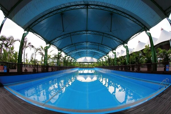A swimming pool with a covered roof, surrounded by palm trees and a wooden deck.