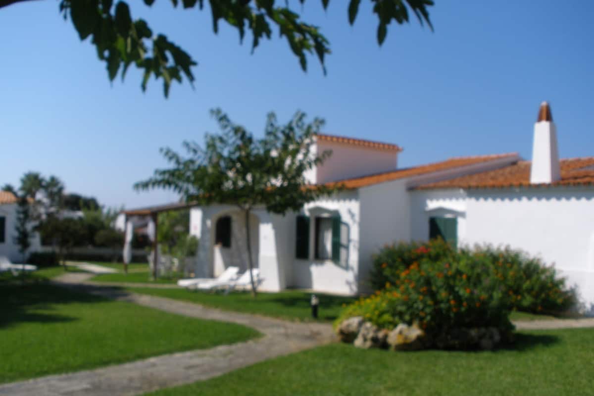 A white building with a tiled roof, a paved pathway, and a small garden area with a bush and a tree.