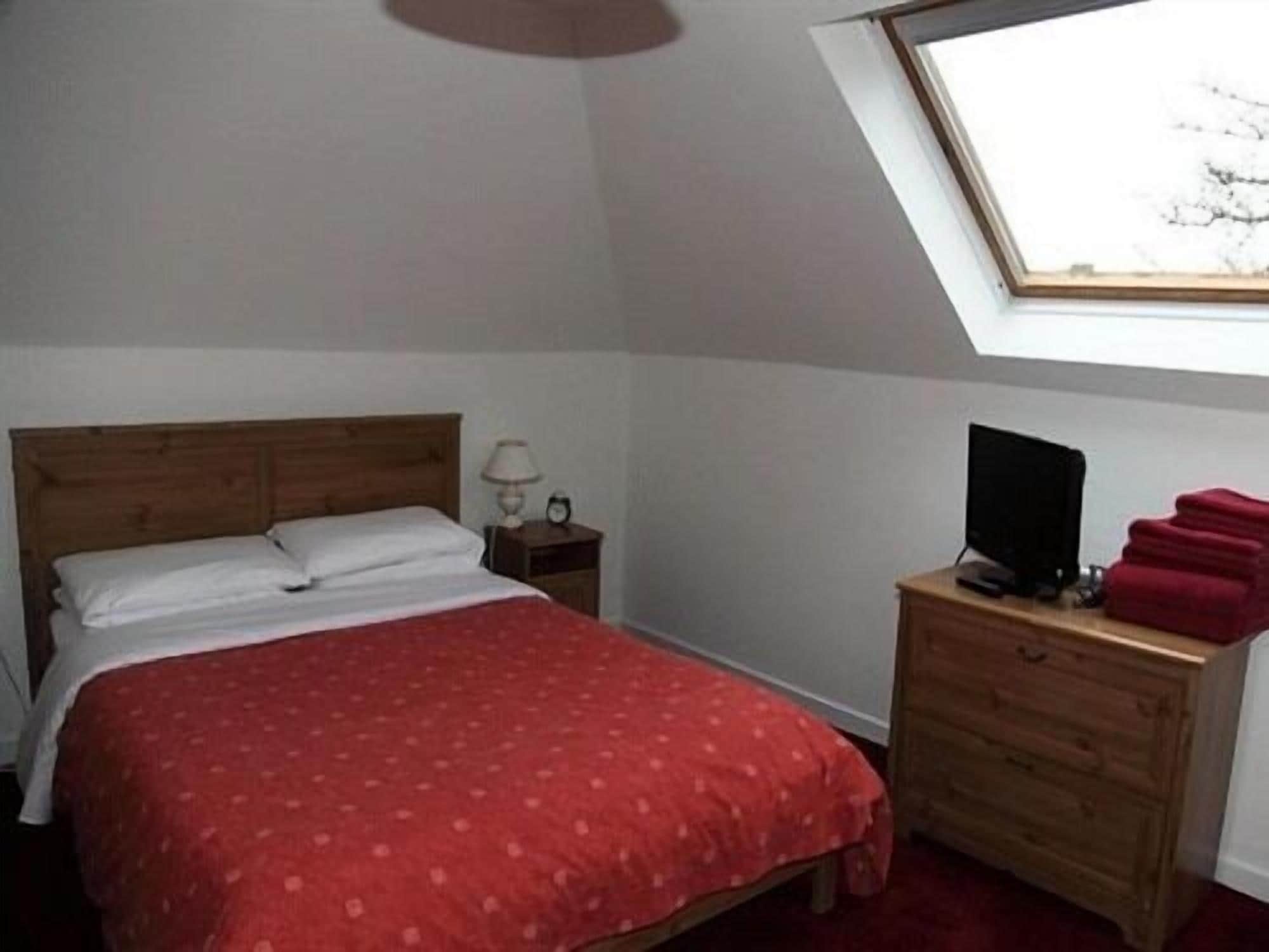 A bedroom with a wooden bed, a red bedspread, a nightstand with a lamp, a TV on a wooden dresser, and a skylight.