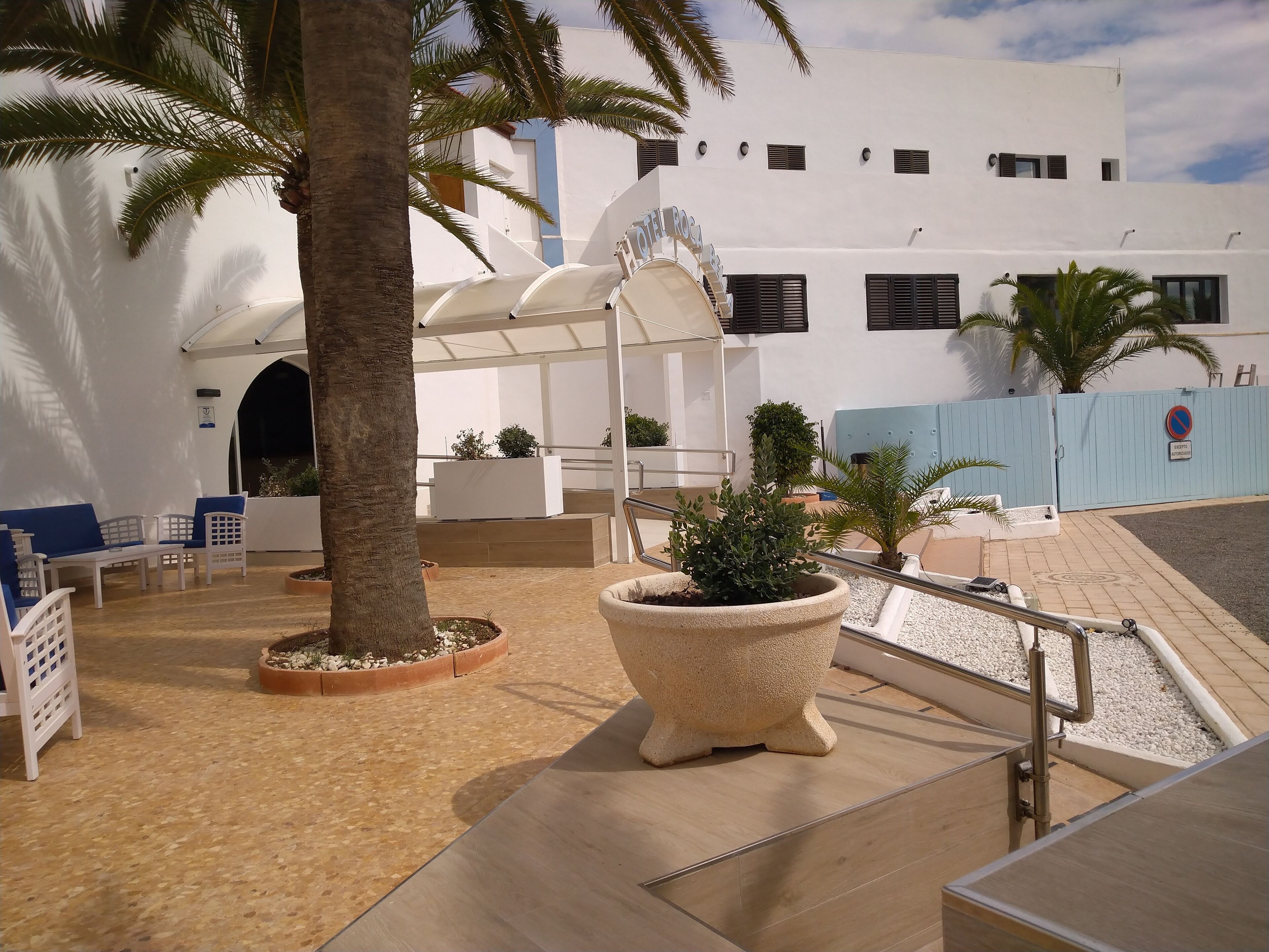 A modern outdoor area with white furniture, palm trees, and a large planter.
