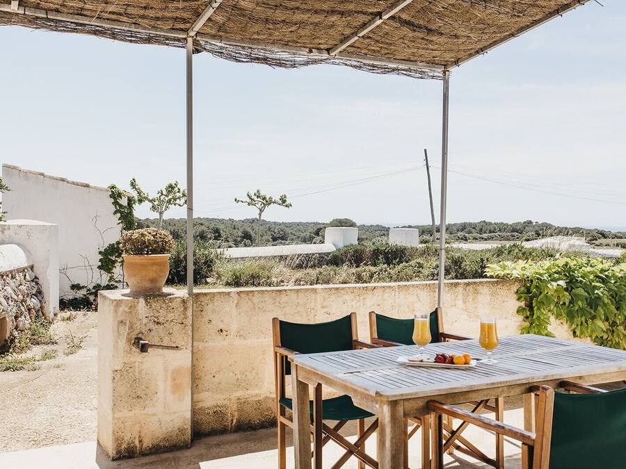 An outdoor patio with a table and chairs, a potted plant, and a view of the countryside.