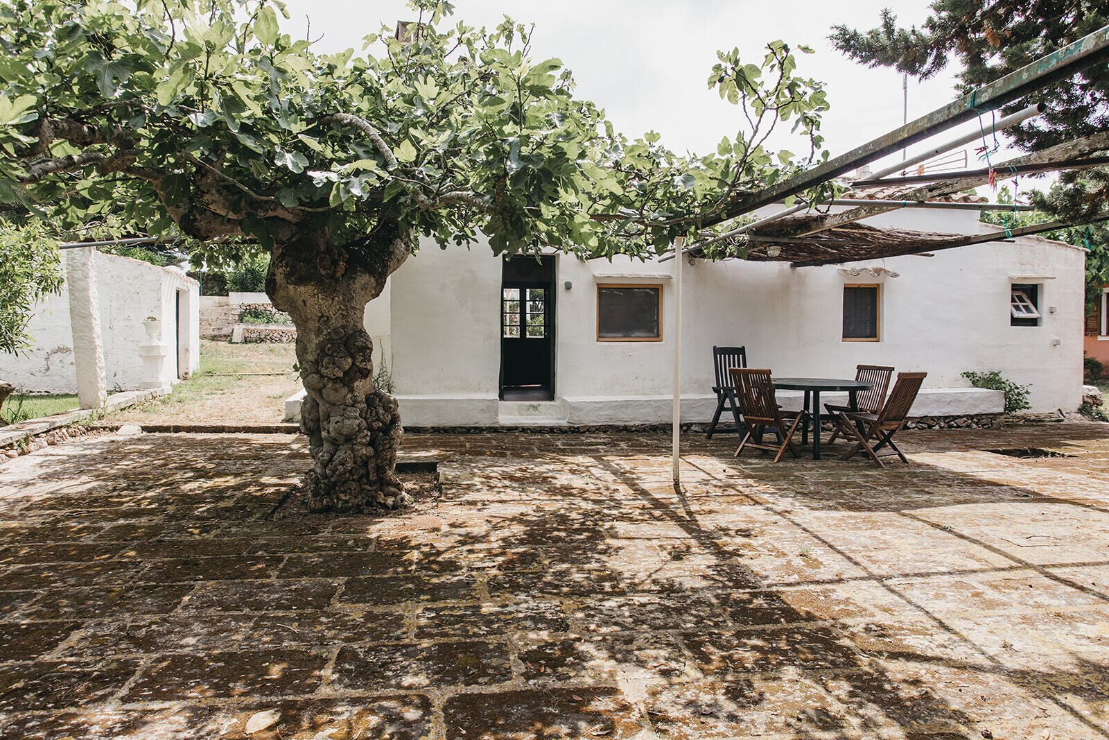 A white building with a stone patio, a table with chairs, and a large tree in front.