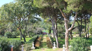 Un jardín bien cuidado con un sendero central, rodeado de diversos árboles y arbustos.