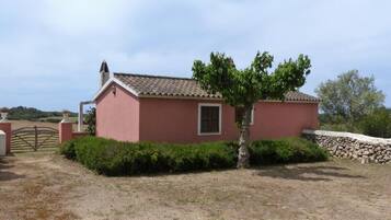 A single-story pink building with a tiled roof, a small window, and a tree in front.