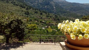 Una terraza con vistas a un paisaje montañoso, una planta en maceta con flores y una barandilla de metal.