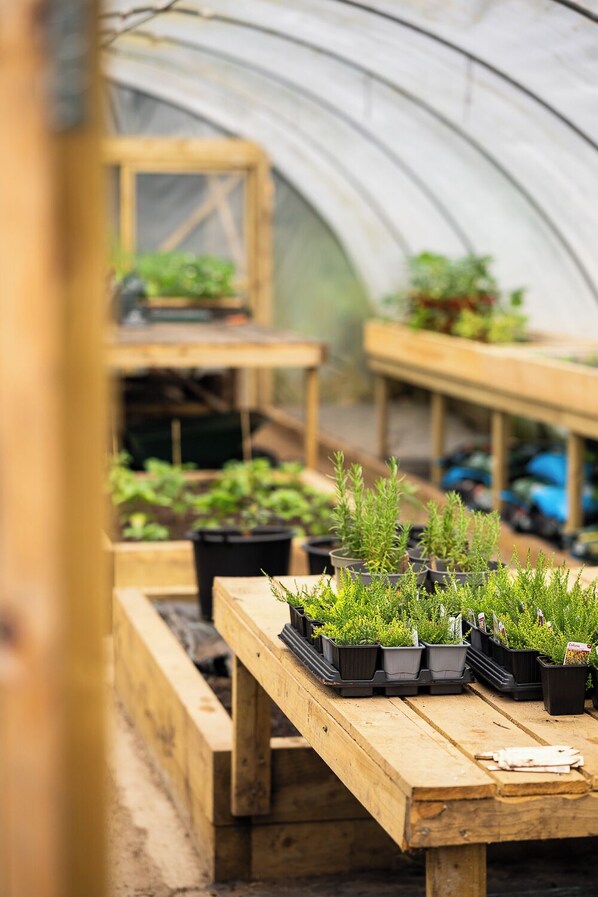 Un invernadero con bancos de madera y plantas en macetas.