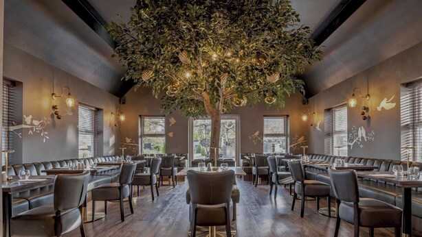 A restaurant with a central tree, booths, and tables. - The Kinmel & Kinspa (Abergele)
