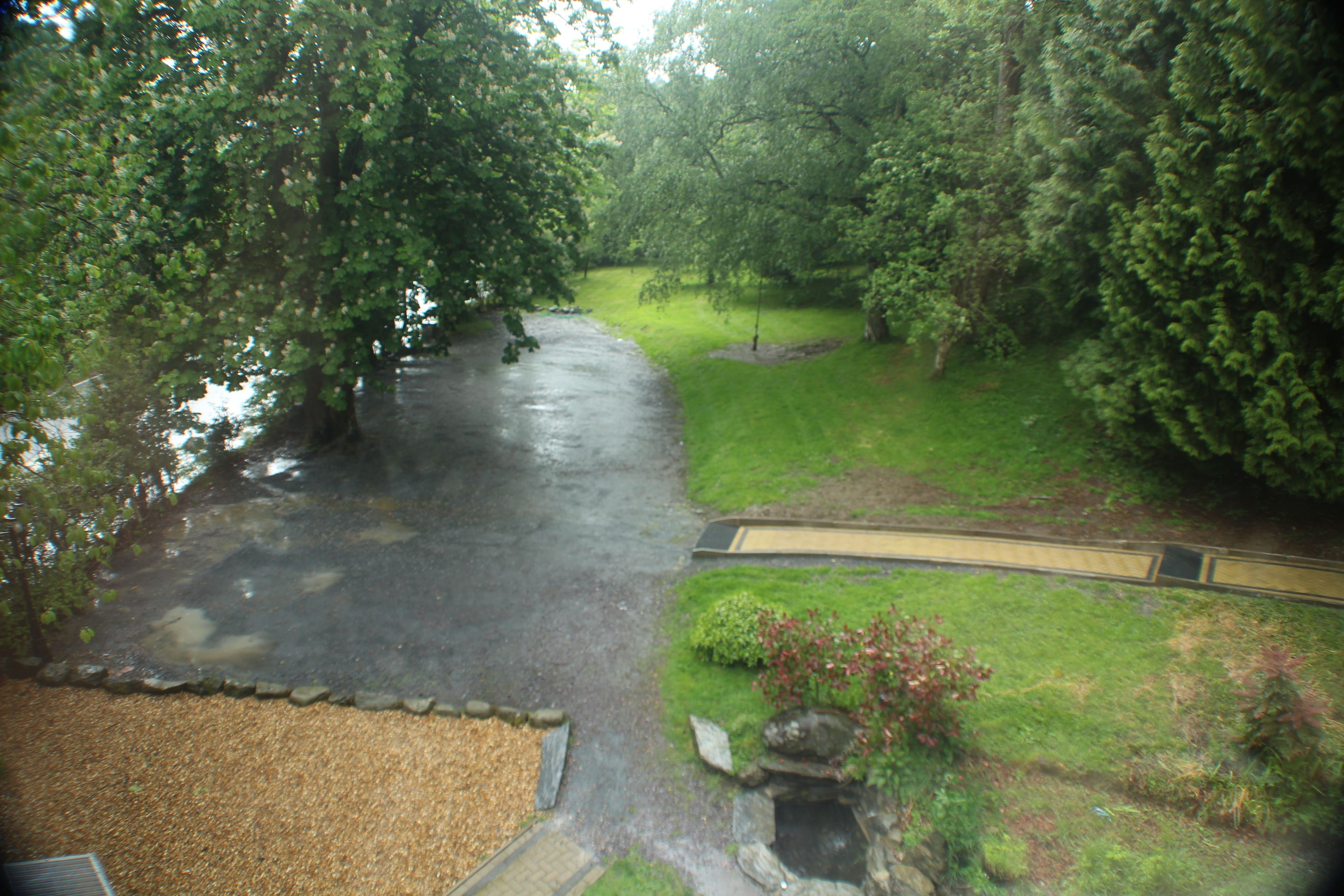 A garden with a pond, a pathway, and a small bridge.