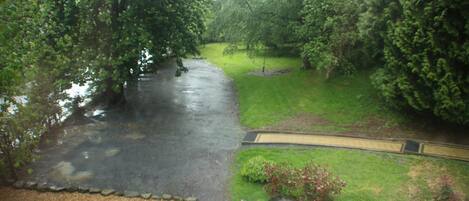 A garden with a pond, a pathway, and a small bridge.