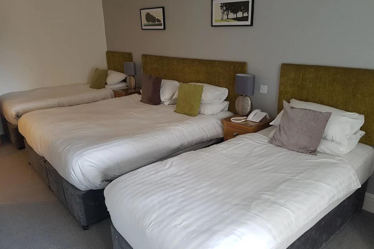 Family Room (Standard) | Iron/ironing board, free WiFi, bed sheets