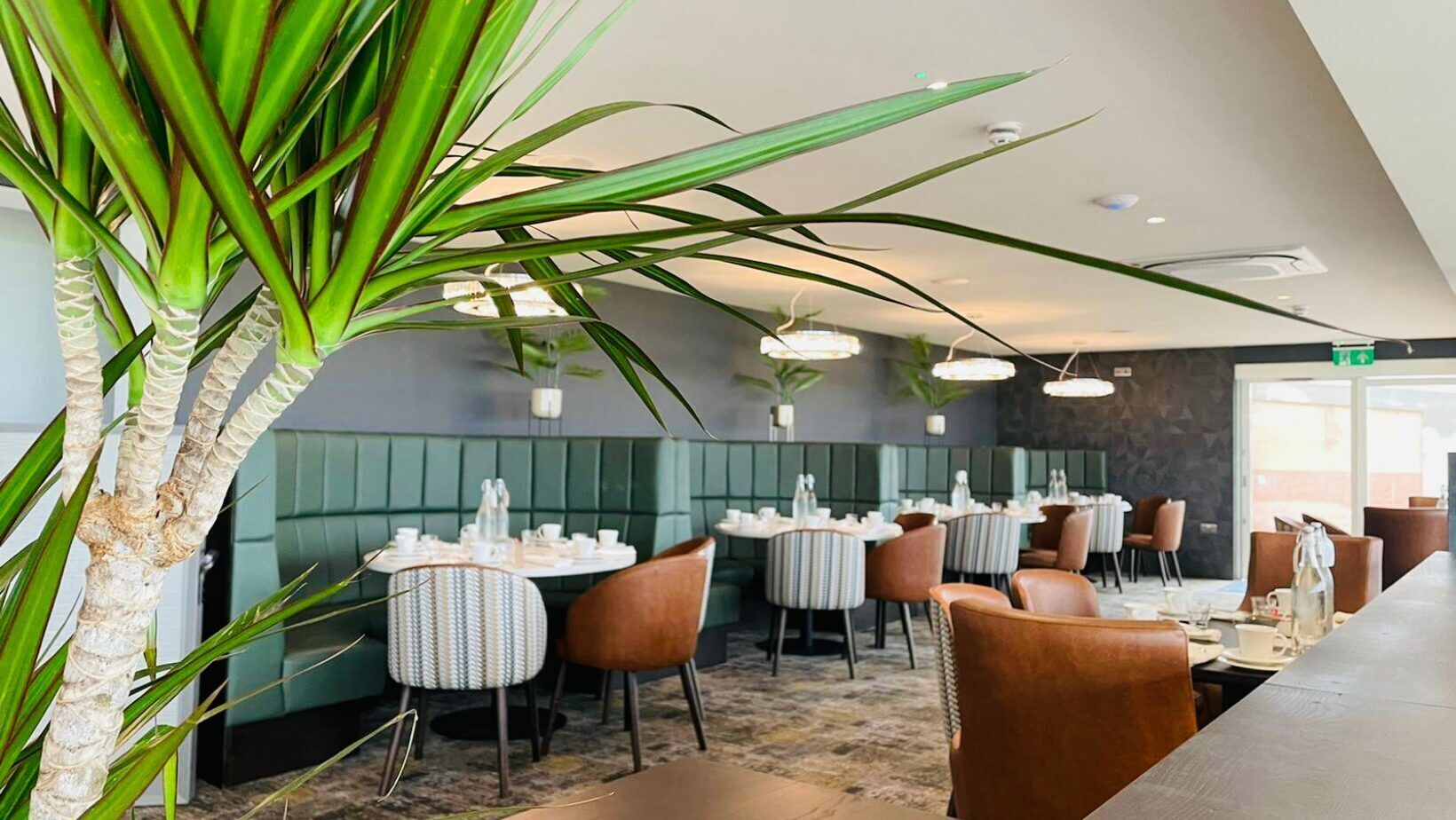 A restaurant with round tables, cushioned booths, and a large potted plant.