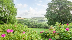 A lush landscape with a view of rolling hills and a large tree in the foreground. - Mansion House Llansteffan (Carmarthen)