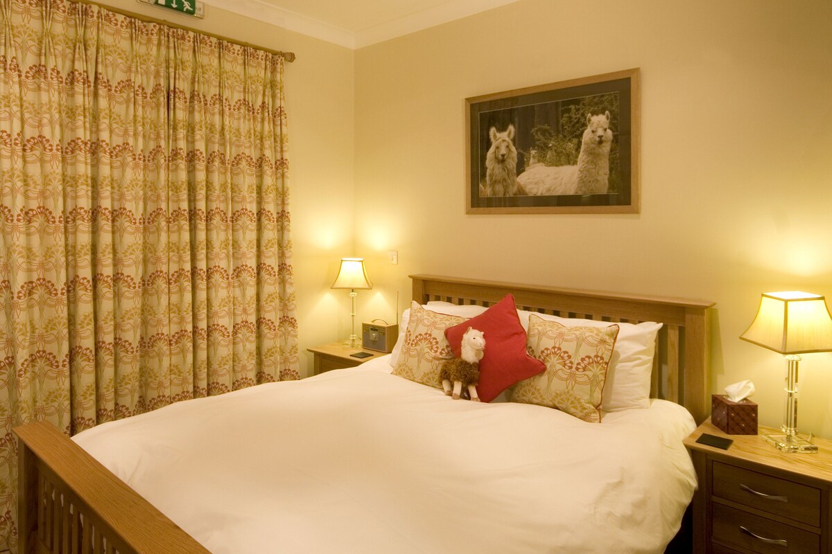 A hotel room with a bed, a nightstand with a lamp, a red pillow, and a painting of alpacas on the wall.