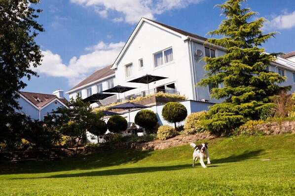 A large white house with a lawn and a dog.