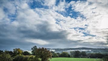 A rural landscape with a green field, trees, and a cloudy sky.