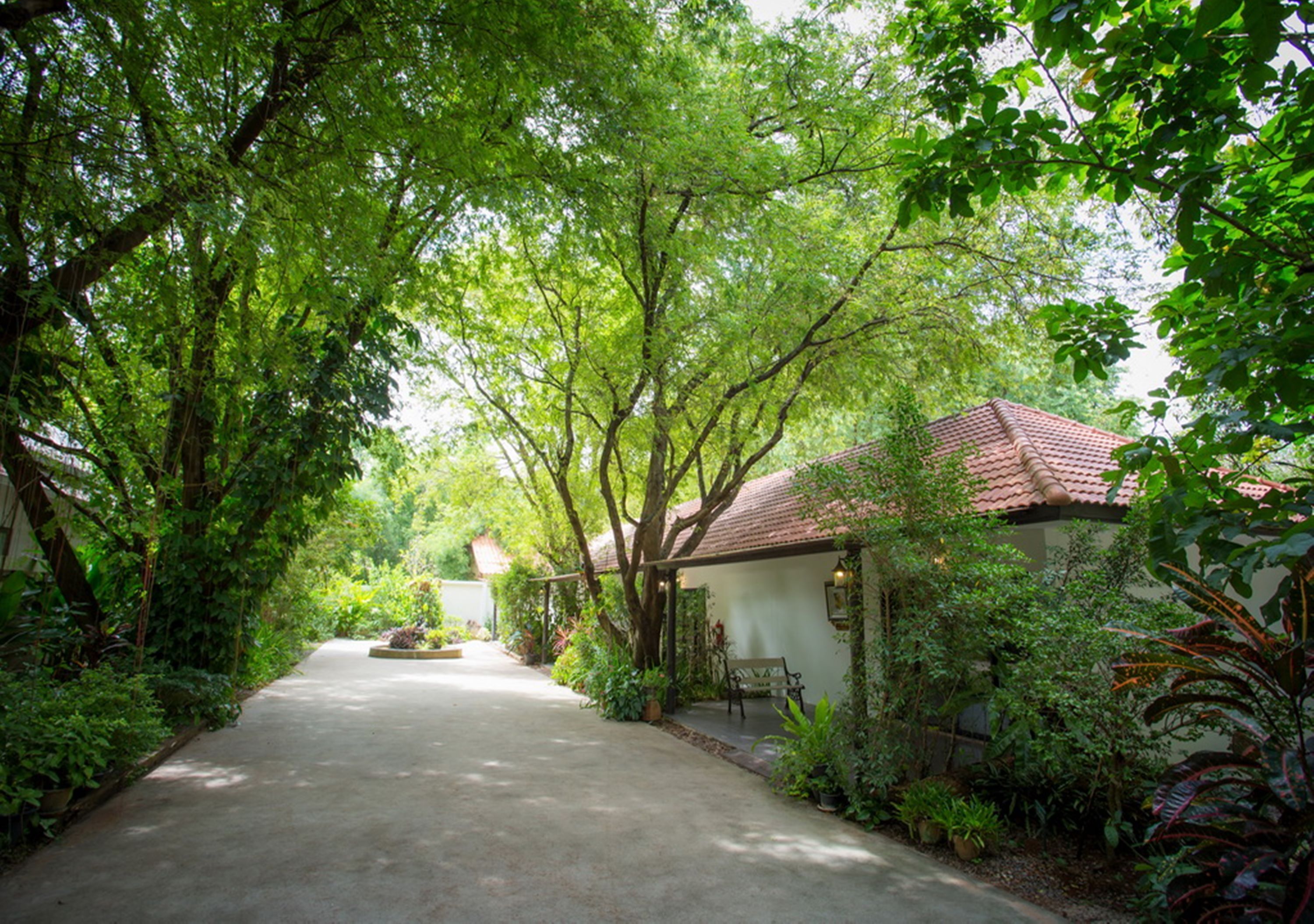 Vista al jardín