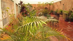 Un patio interior con suelo de baldosas, plantas en macetas y mobiliario de exterior.