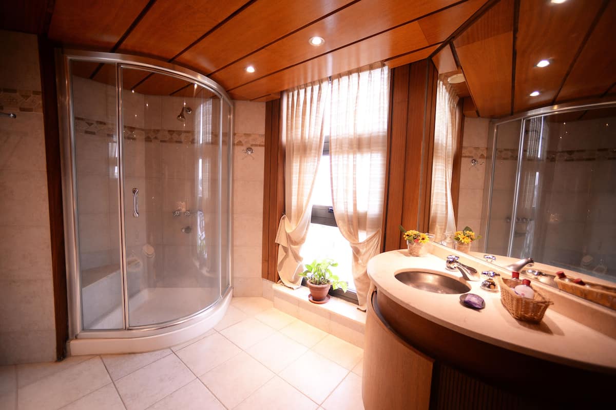 deluxe room | bathroom | shower, free toiletries, hair dryer, towels