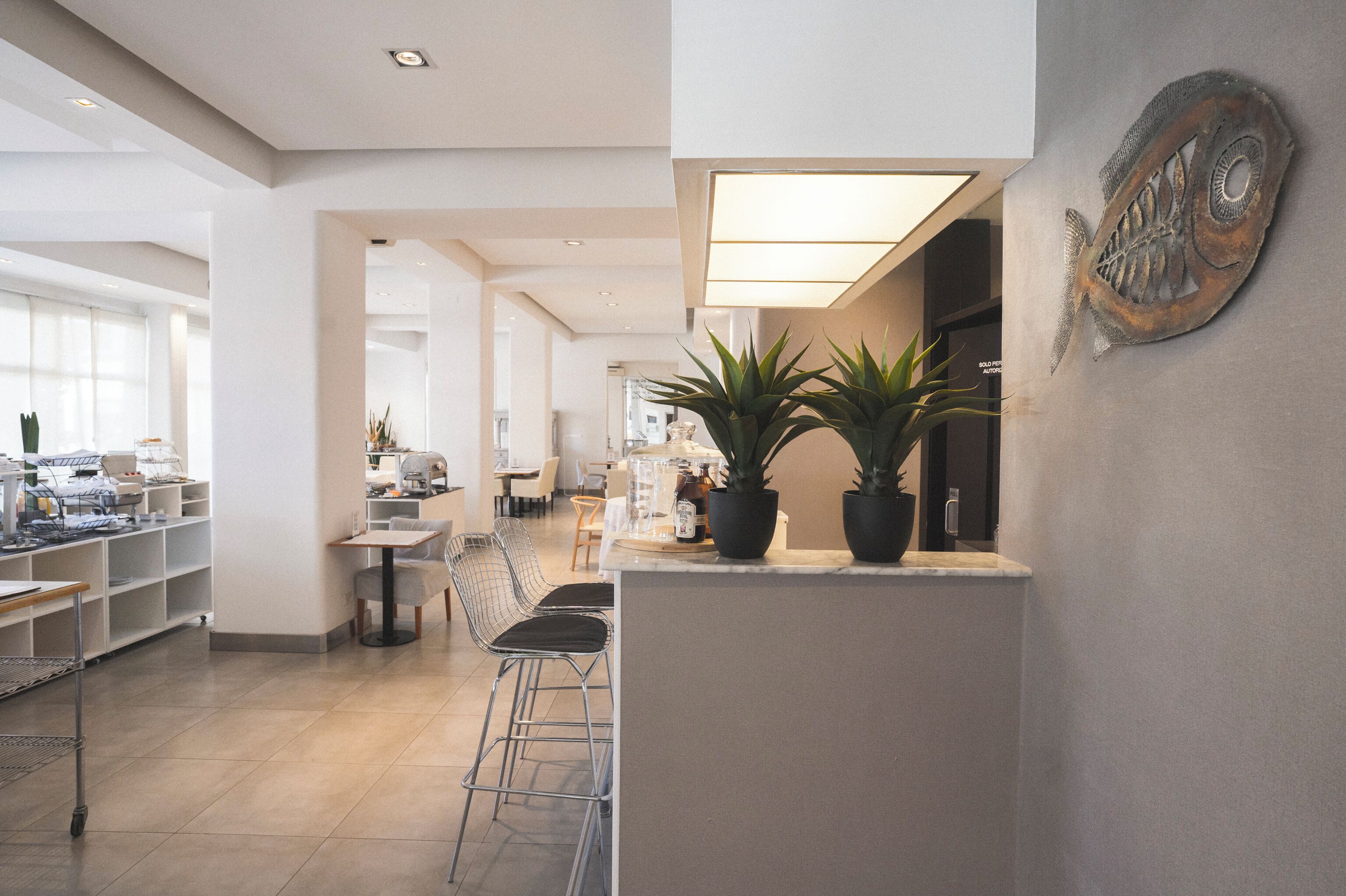 Foto - Hotel Tolosa