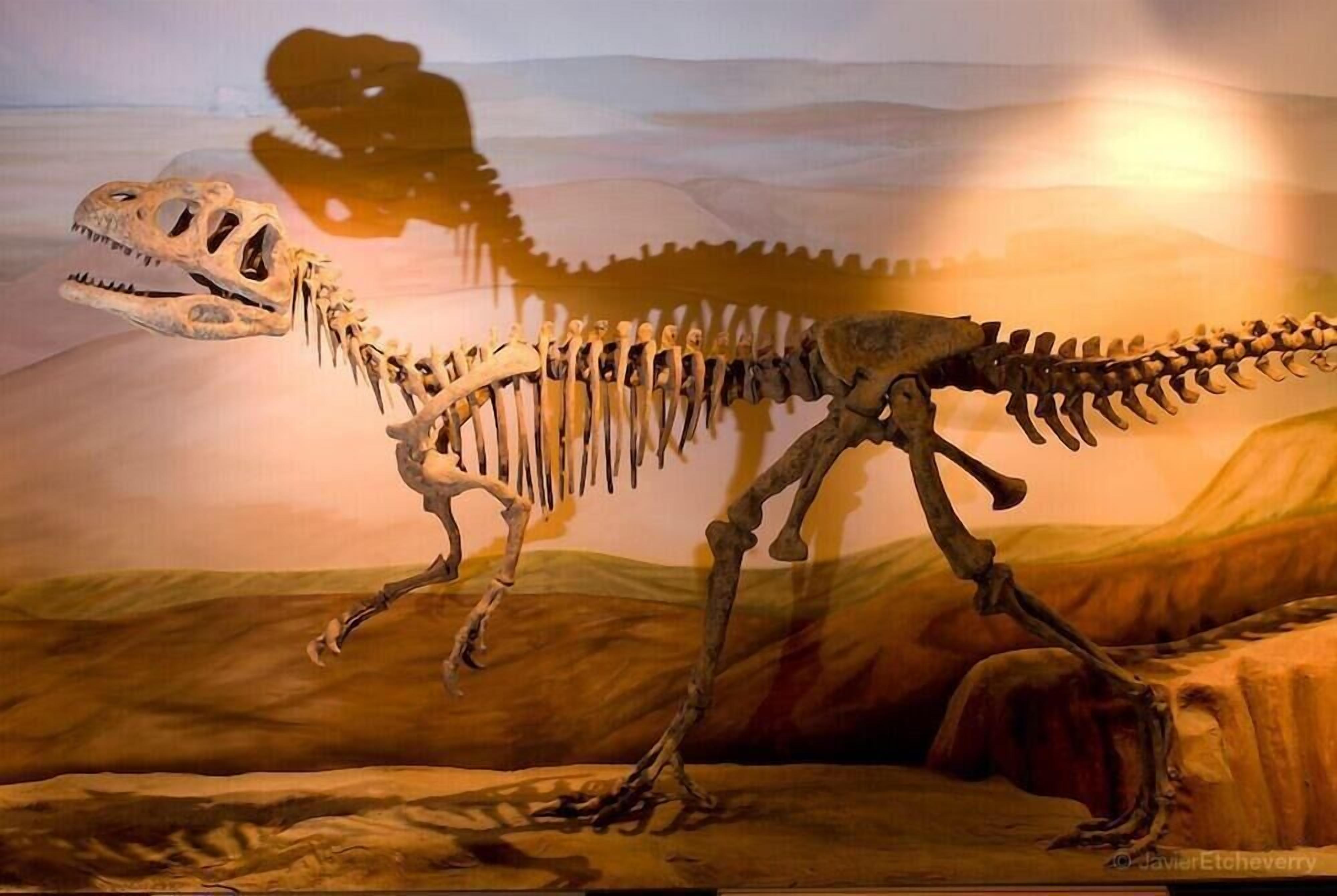 Una exhibición de un esqueleto de dinosaurio con un paisaje desértico de fondo.