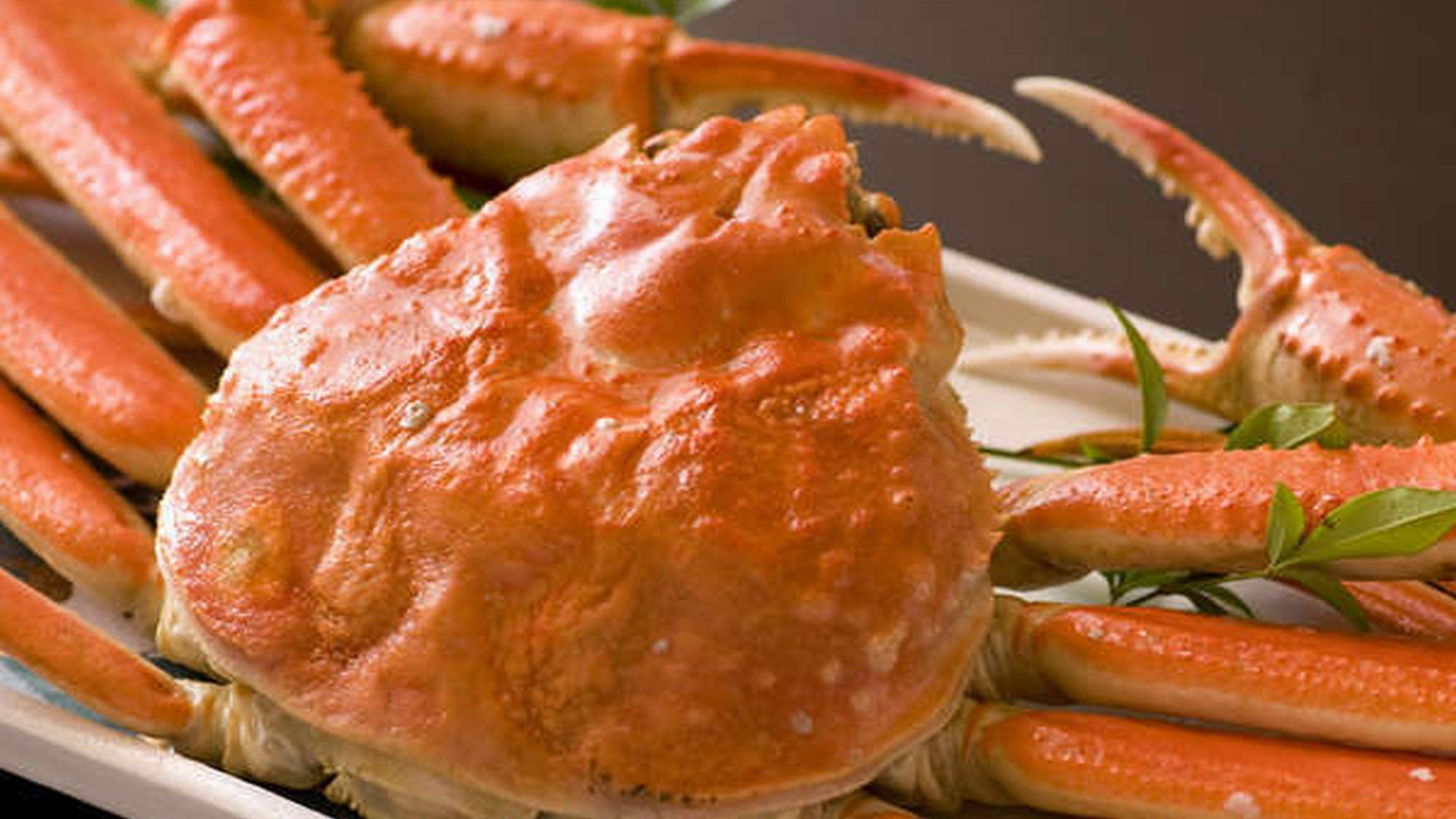 A crab with a prominent shell and multiple legs.