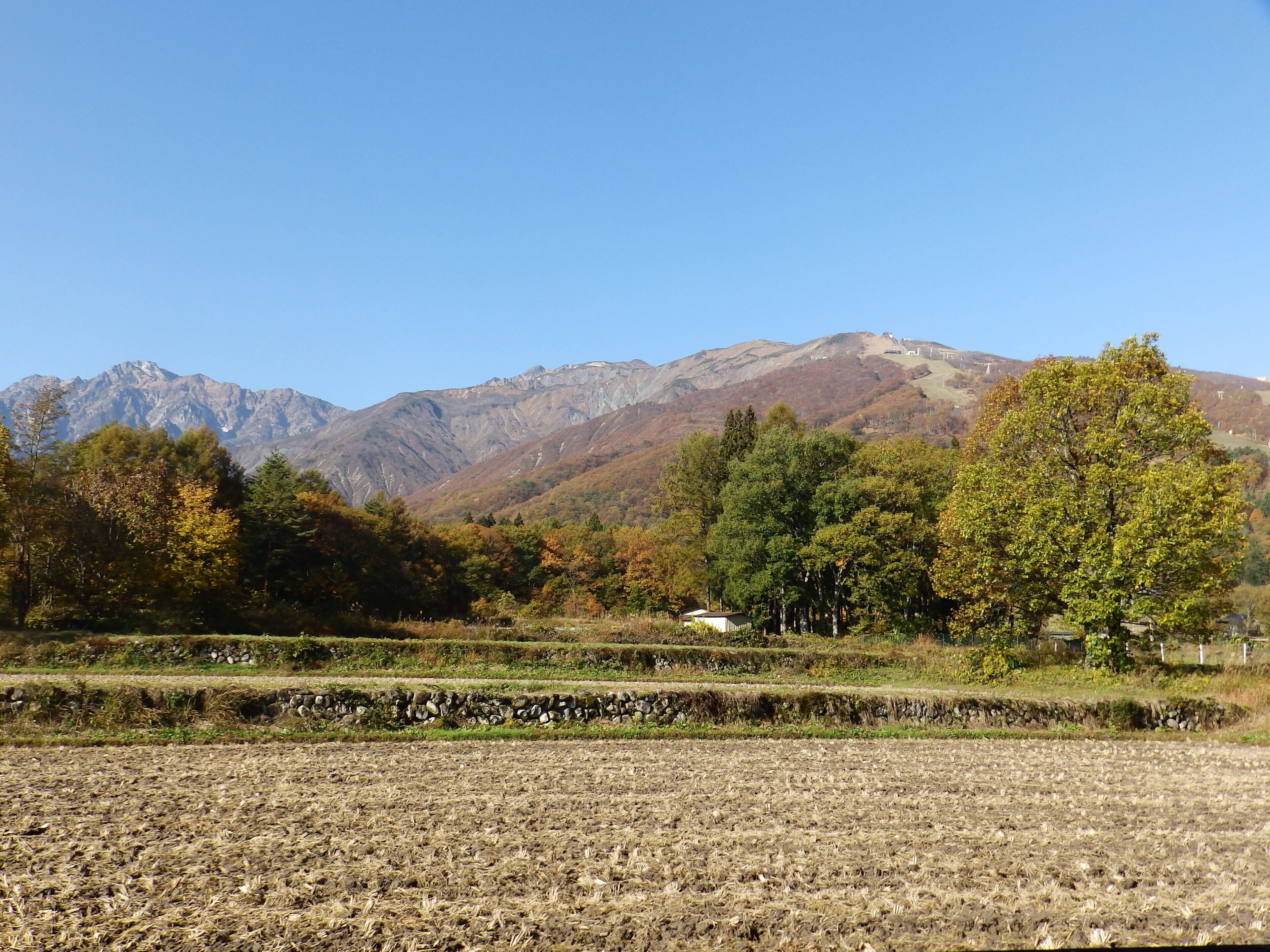 Paisagem rural com montanhas, árvores e campos em socalcos.