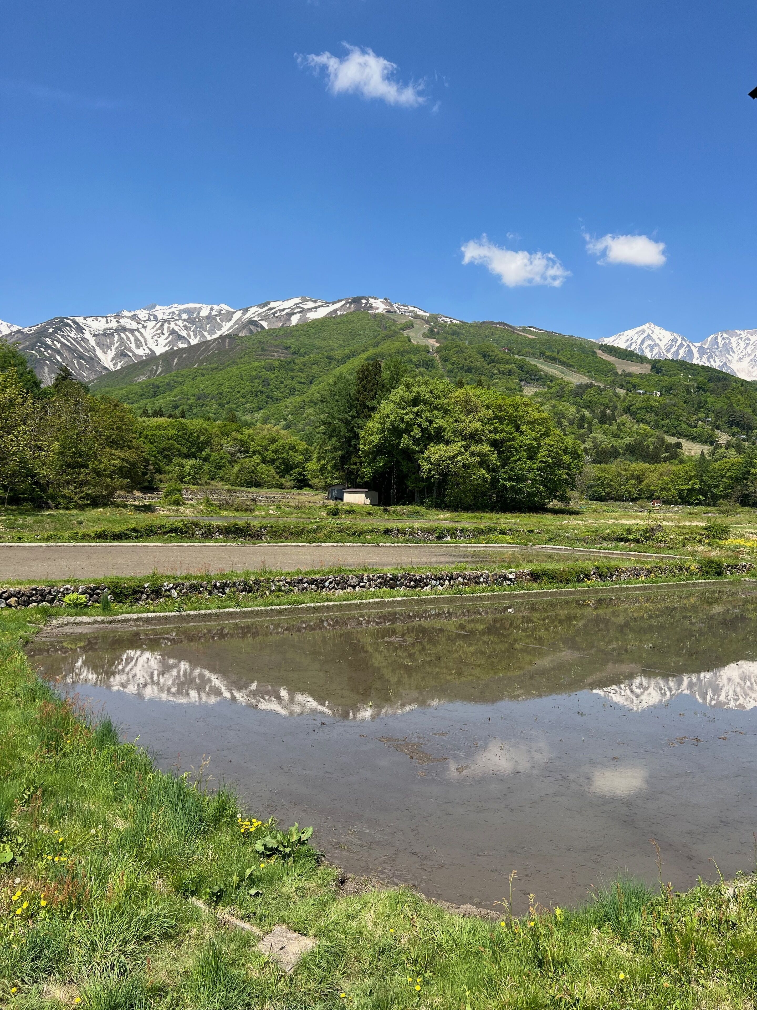 A mountainous landscape with a pond reflecting trees and a small building.