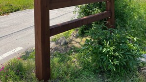 未分類圖片，第 4 張 (共 40 張)，按鈕