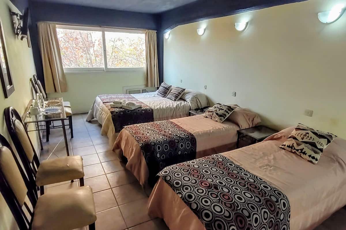 Minibar, escritorio, wifi gratis y ropa de cama