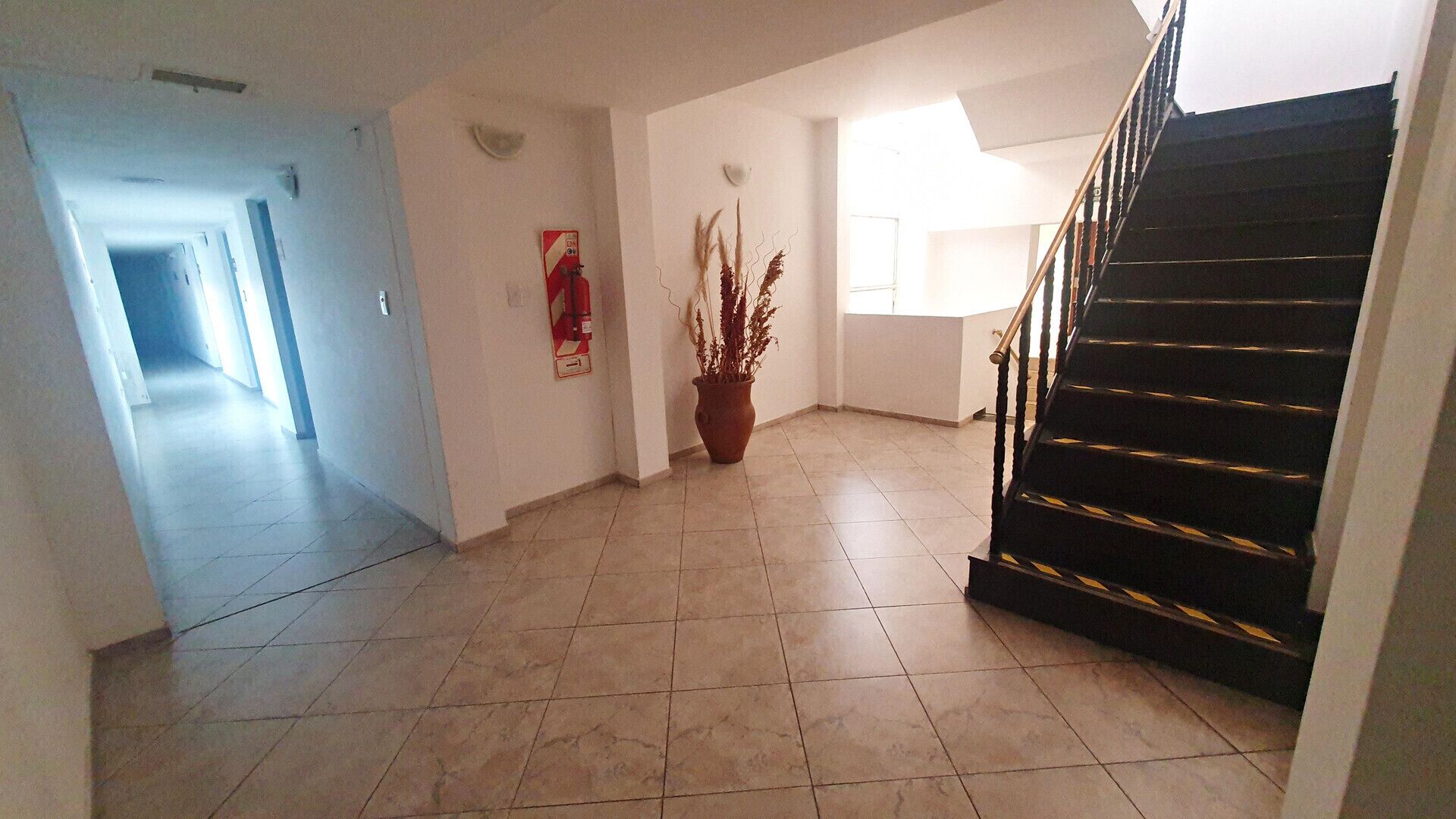 Un hall d’entrée spacieux, doté d’un sol carrelé, d’une plante en pot et d’un escalier avec une rampe noire.
