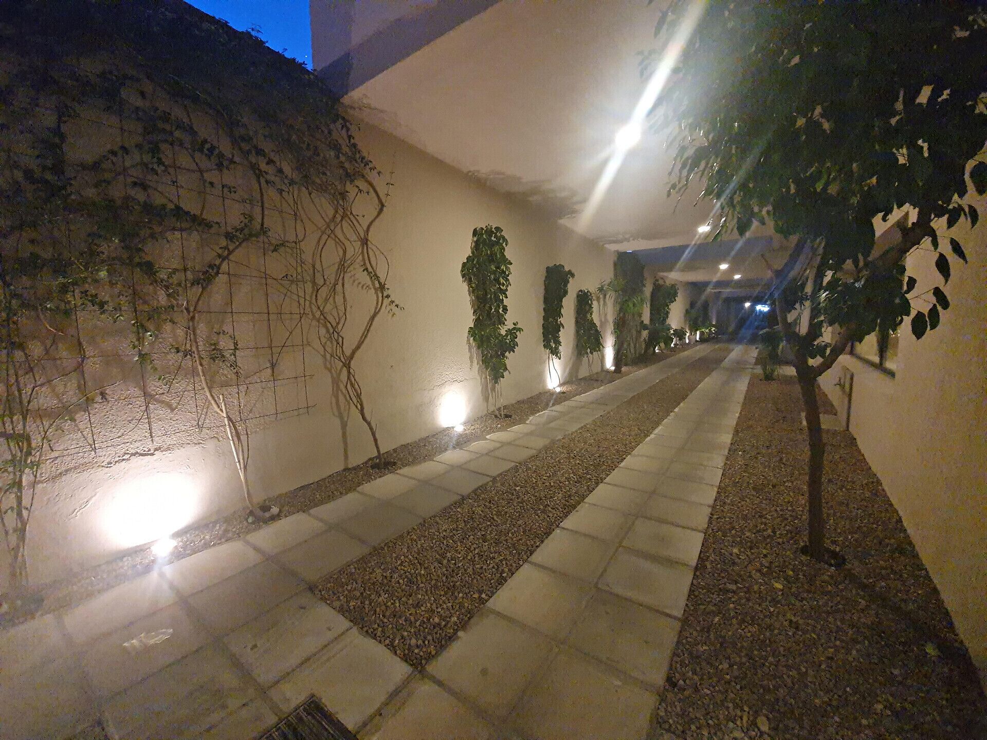 Àrea exterior de l'allotjament