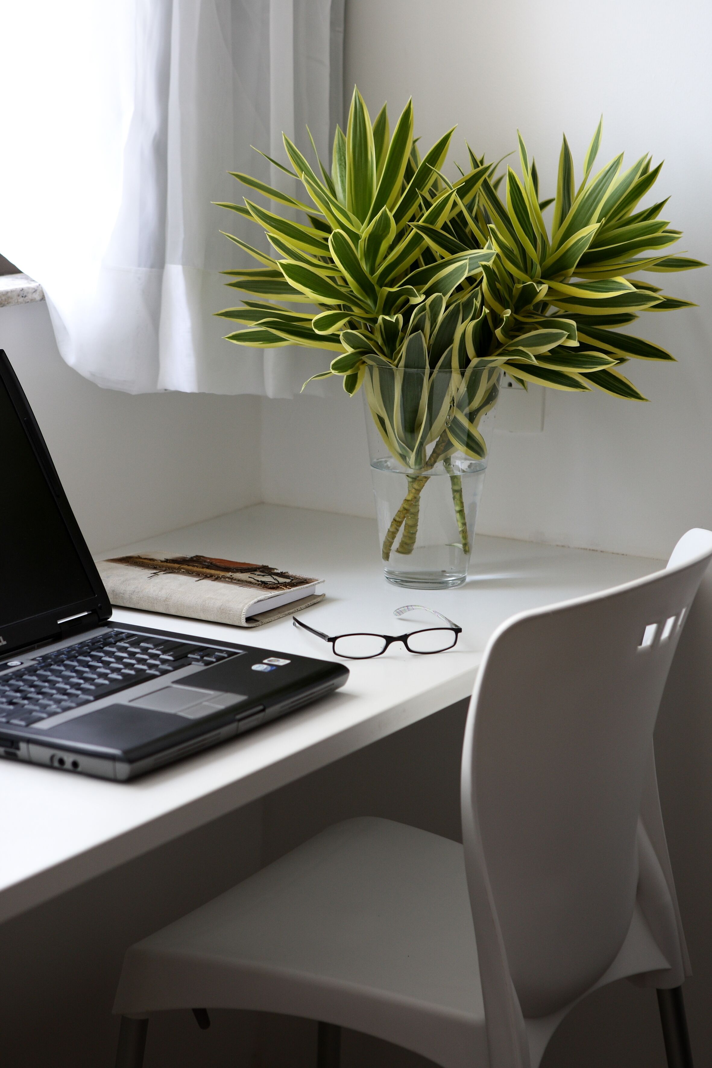 suíte vista mar | minibar, in-room safe, desk, free wifi