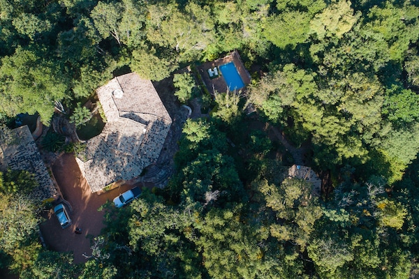 Servicio de la propiedad