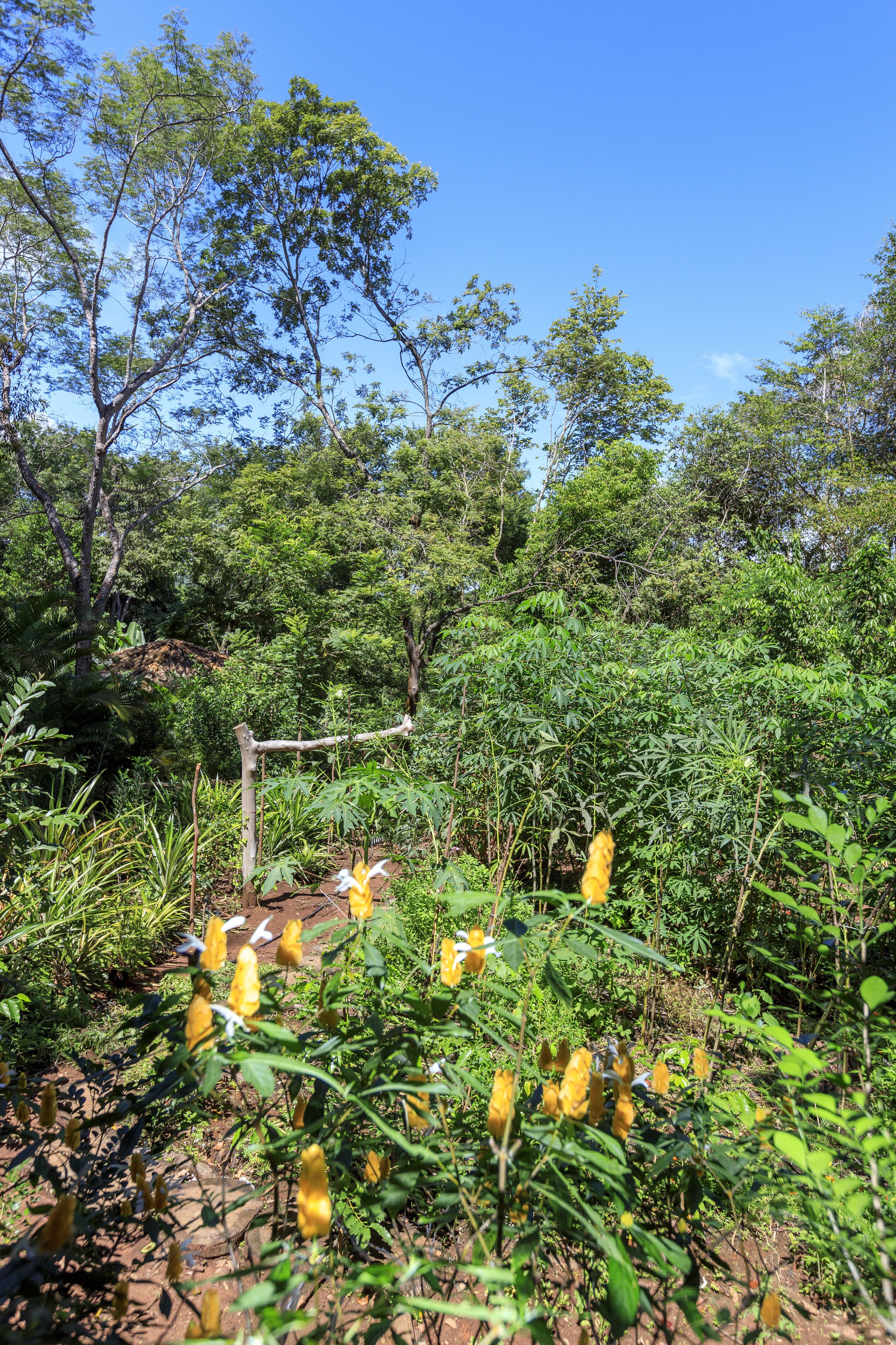 Minibar, in-room safe, free WiFi, bed sheets