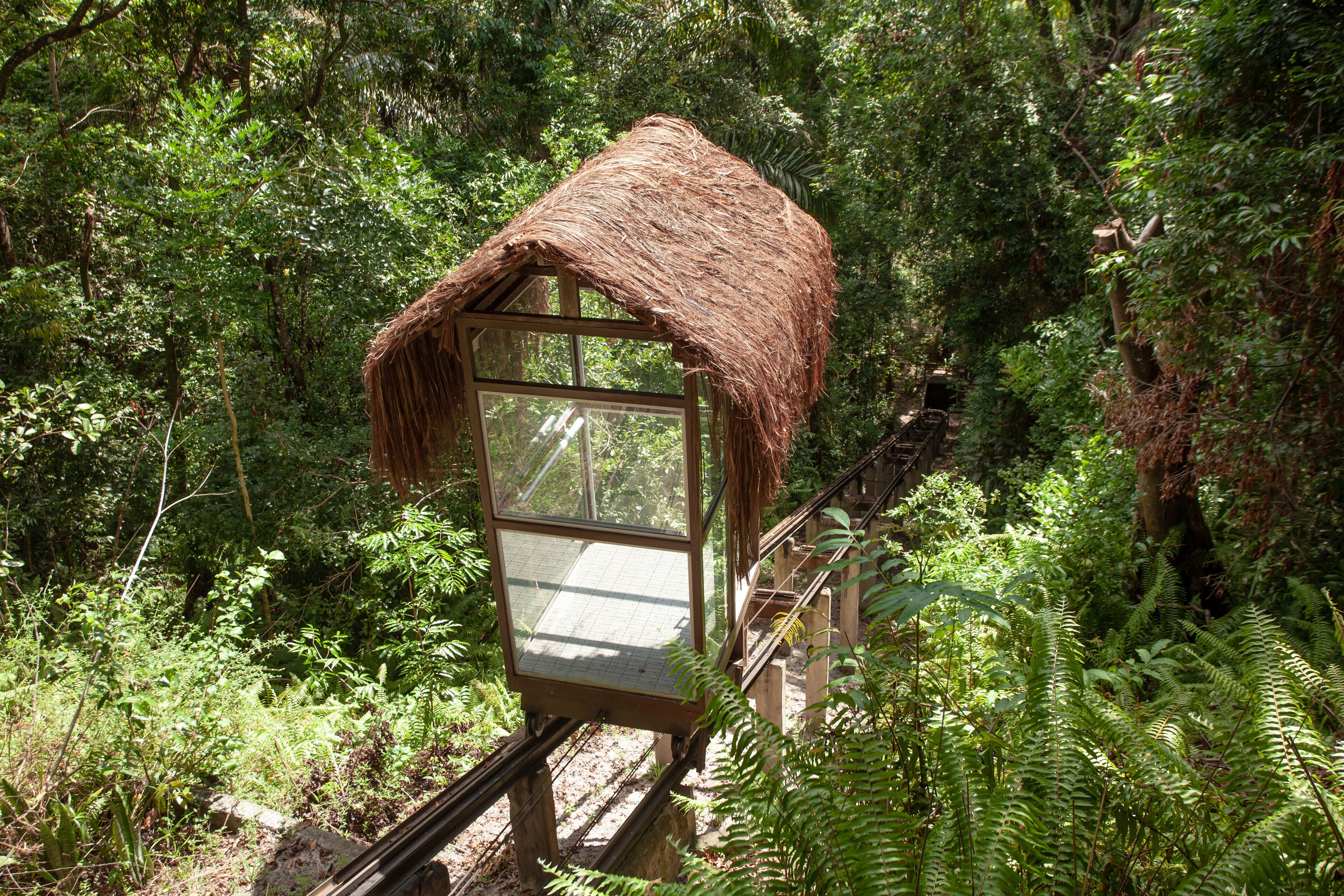 Uma cabana rústica de madeira com telhado de palha, rodeada por uma floresta densa.
