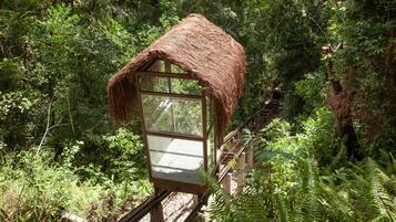 Uma cabana rústica de madeira com telhado de palha, rodeada por uma floresta densa.