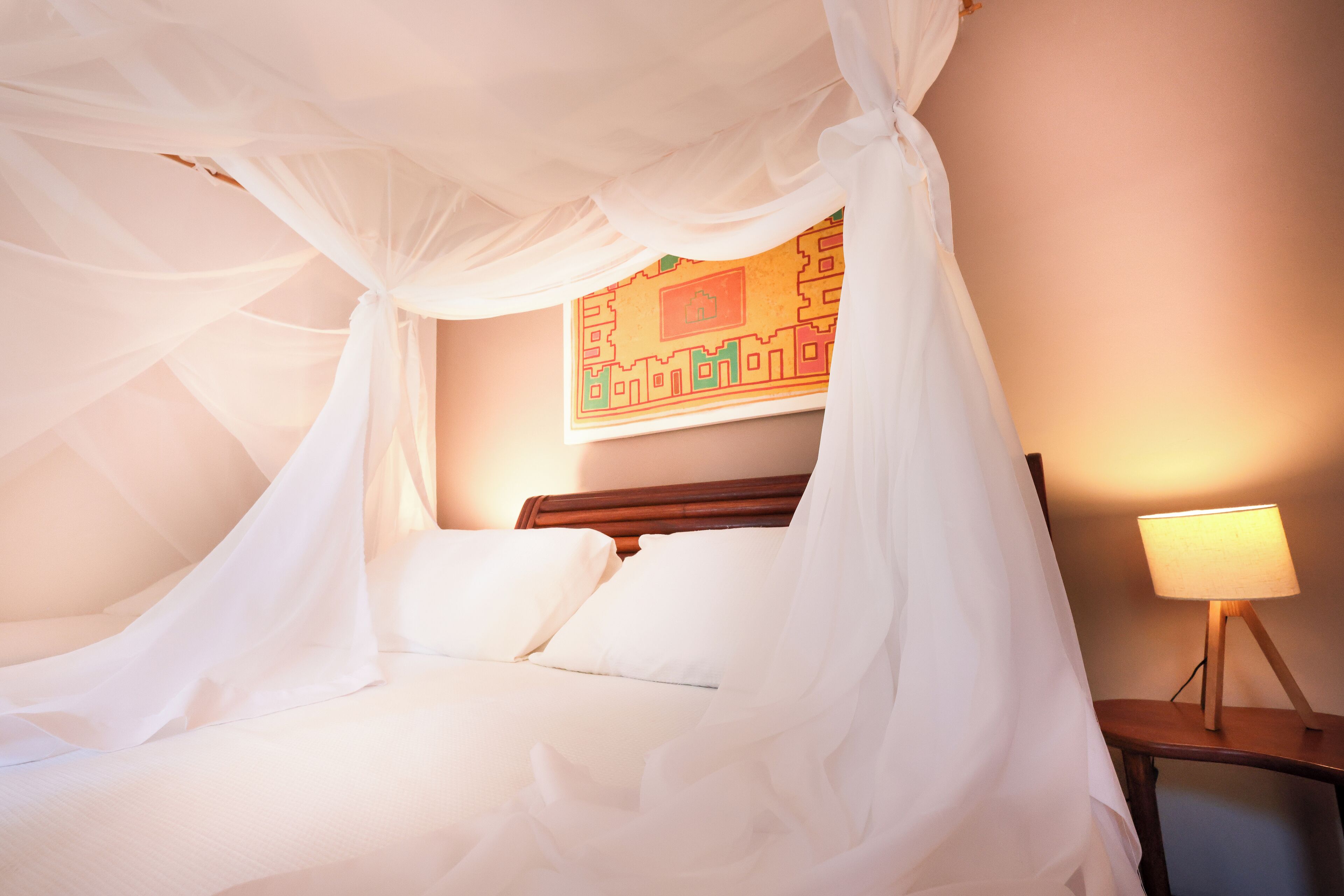 A bed with white linens and a canopy, a wooden headboard, a bedside lamp, and a colorful wall decoration.
