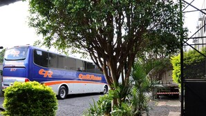 A bus parked in a driveway with a tree and potted plants nearby.