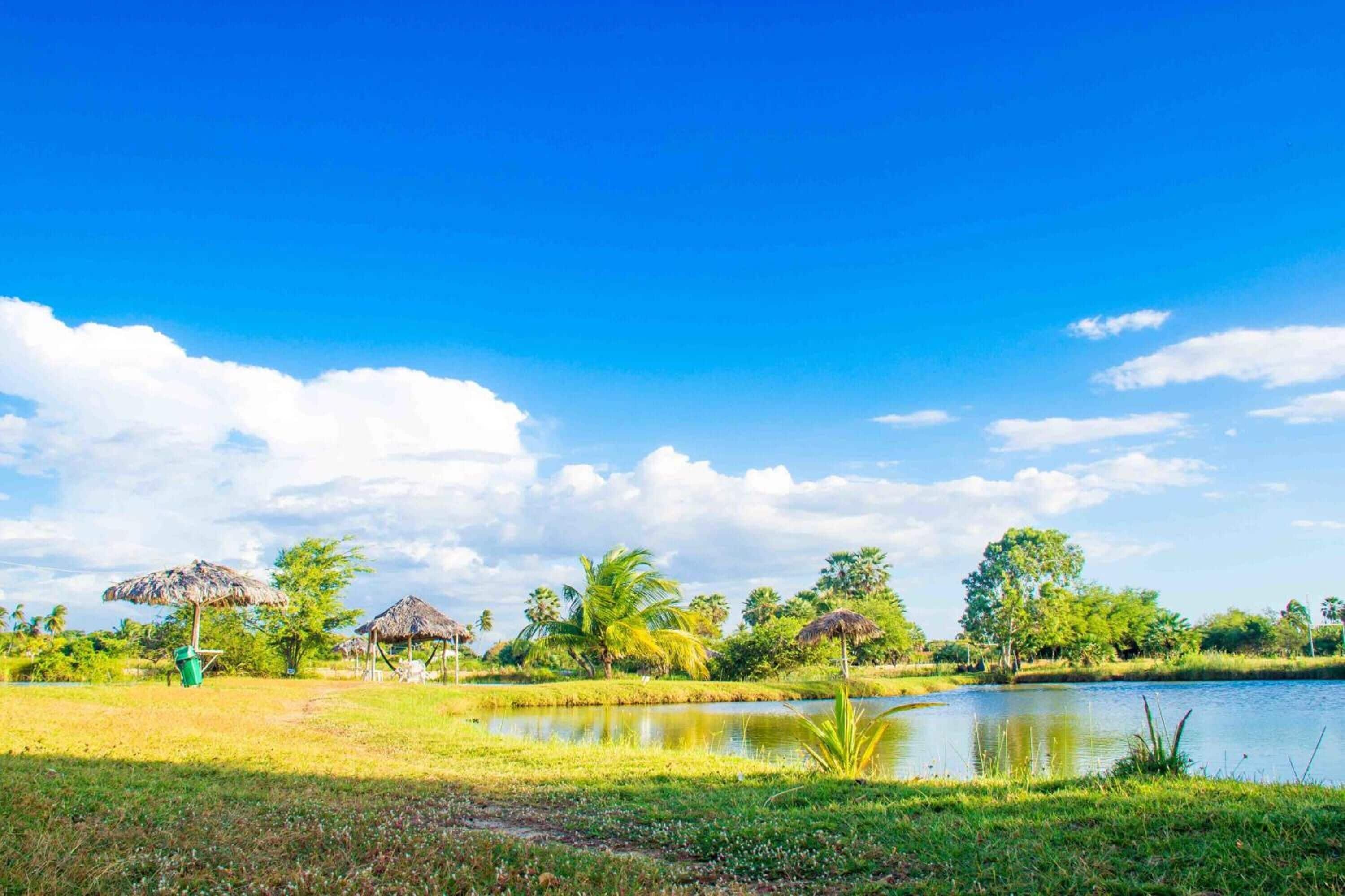A serene lakeside setting with a clear sky, a grassy area, and a thatched-roof structure.