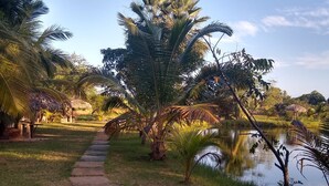 A pathway leading to a pond surrounded by palm trees and grass. - Delta Park (Parnaíba)