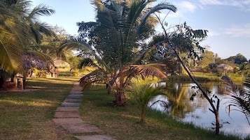 Pesca