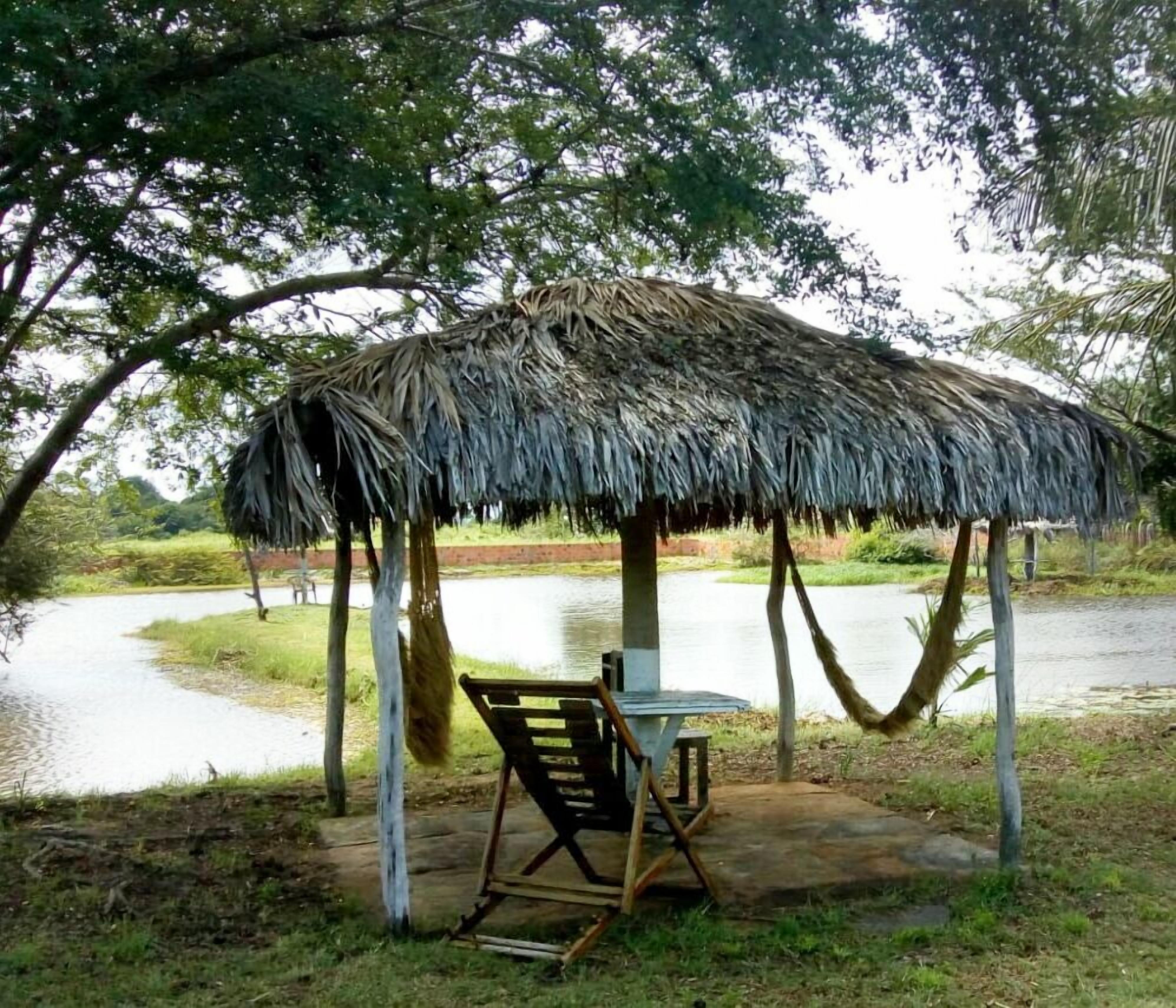 A thatched-roof pavilion with a table and chairs, situated by a body of water.