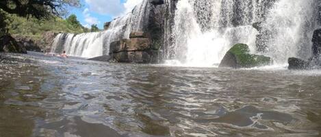 Una cascada con agua que se precipita sobre rocas, rodeada de vegetación.
