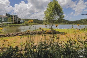 Área da propriedade