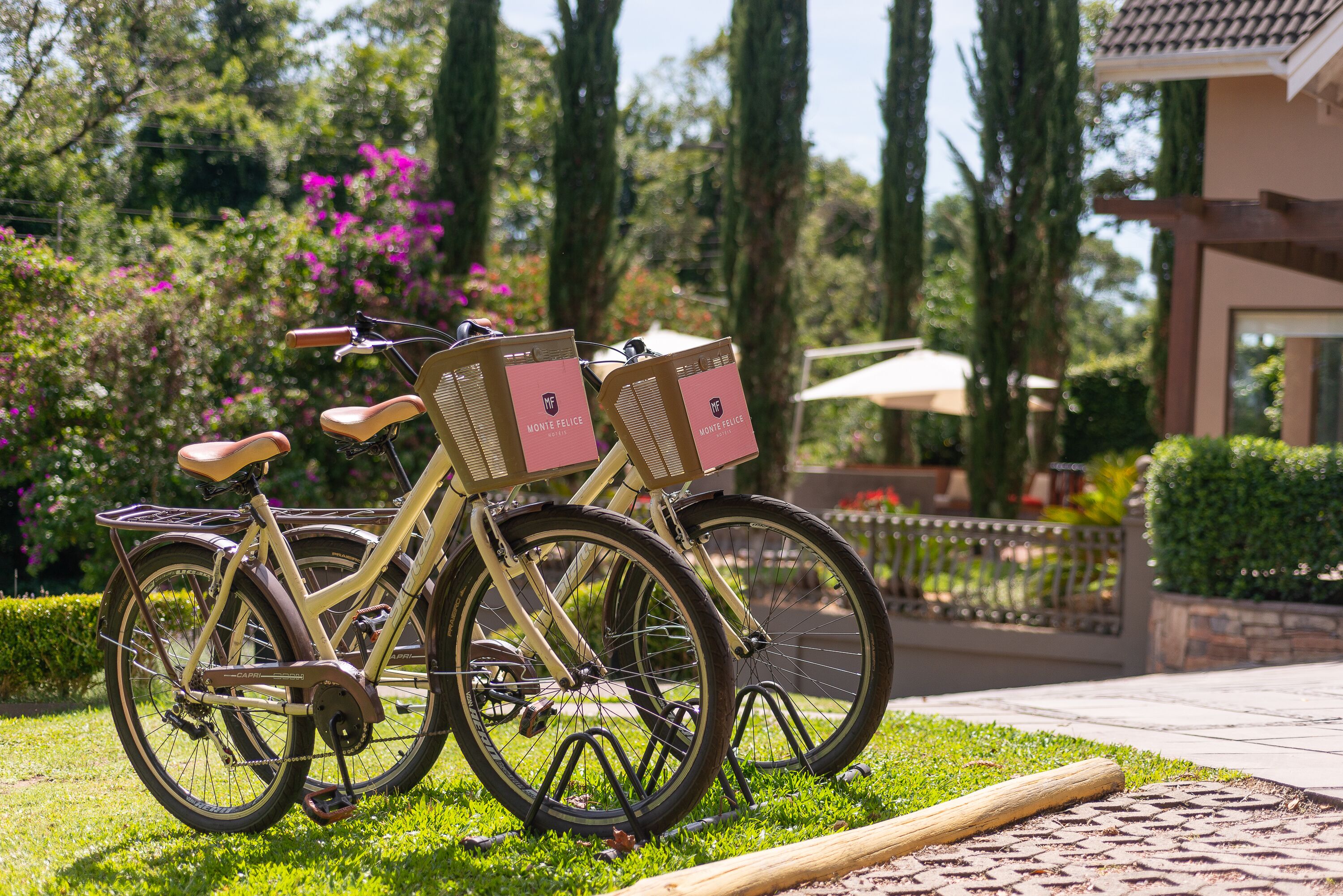 Foto - Hotel Monte Felice Bosque