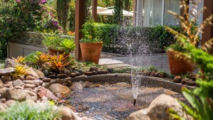 Un jardín con una pequeña fuente de agua rodeada de rocas y plantas en macetas.